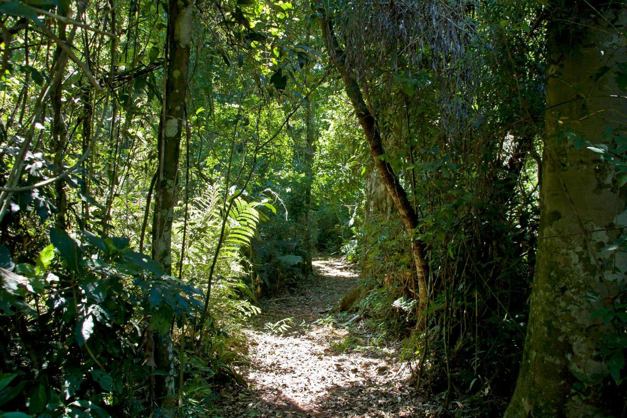 Tierra Guarani Lodge Πουέρτο Ιγκουασού Εξωτερικό φωτογραφία