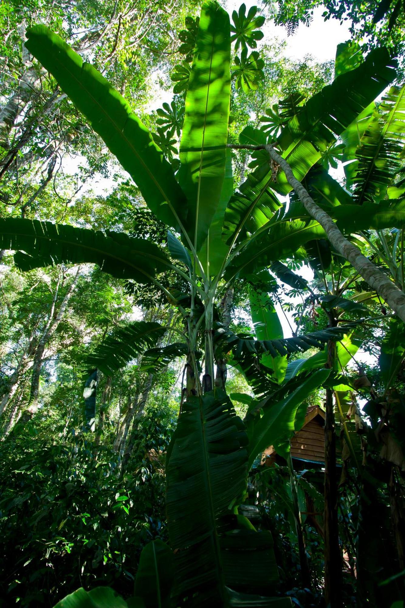 Tierra Guarani Lodge Πουέρτο Ιγκουασού Εξωτερικό φωτογραφία