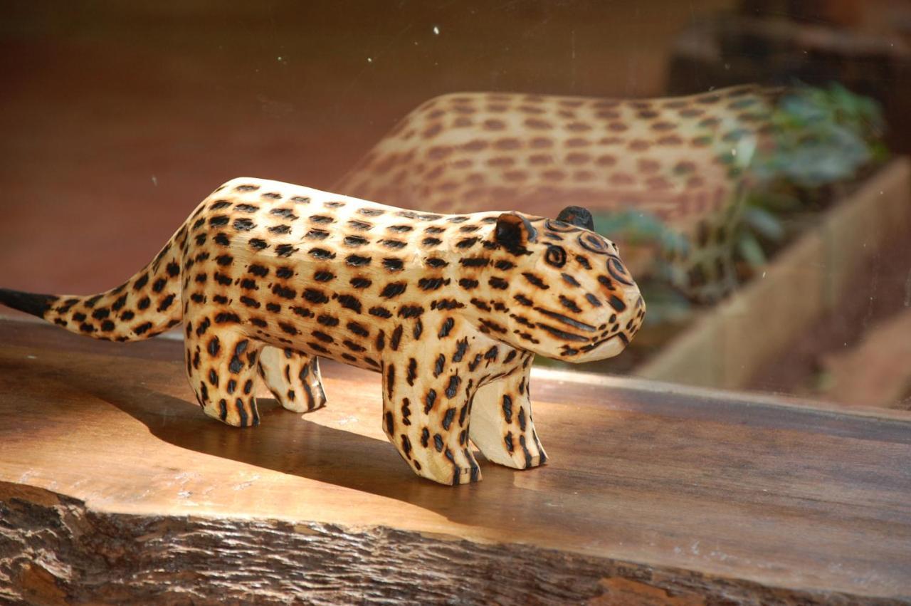 Tierra Guarani Lodge Πουέρτο Ιγκουασού Εξωτερικό φωτογραφία