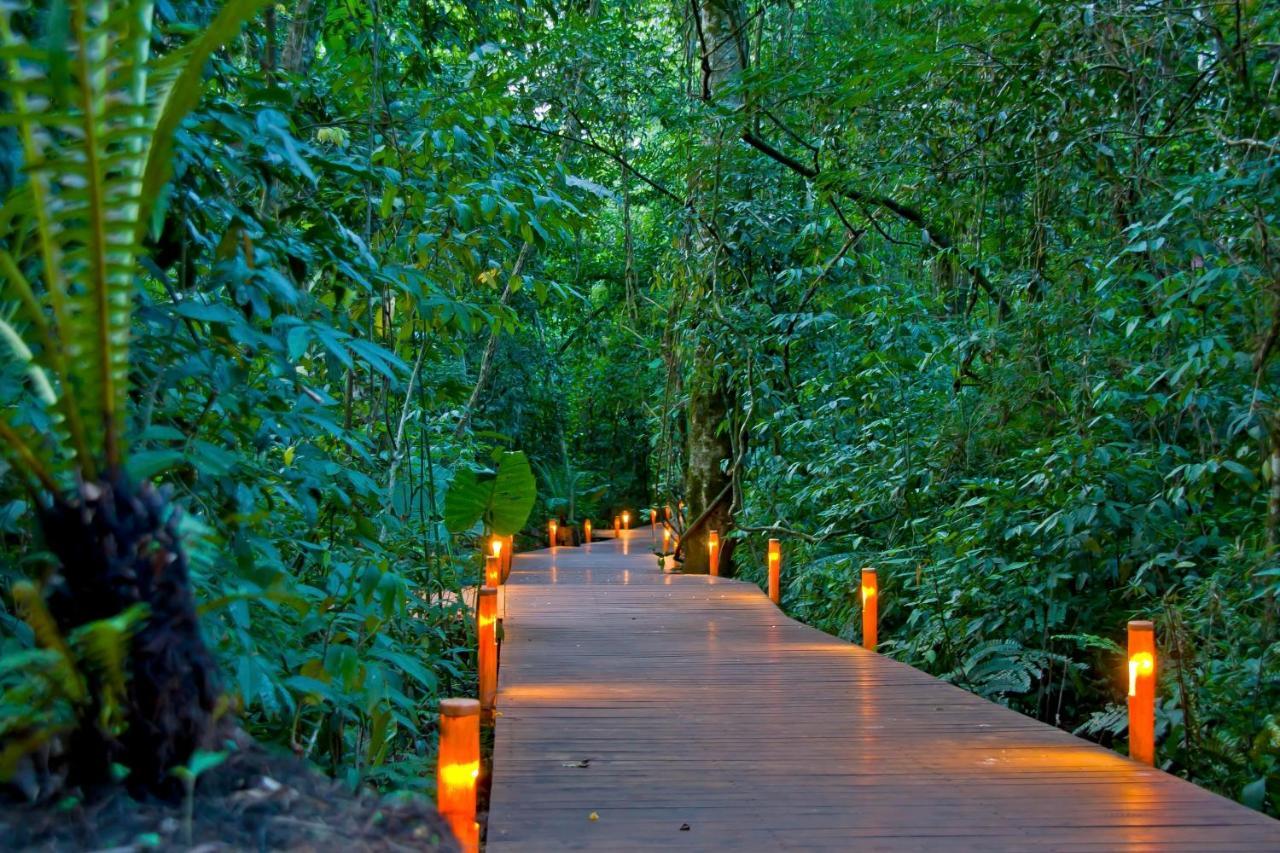 Tierra Guarani Lodge Πουέρτο Ιγκουασού Δωμάτιο φωτογραφία