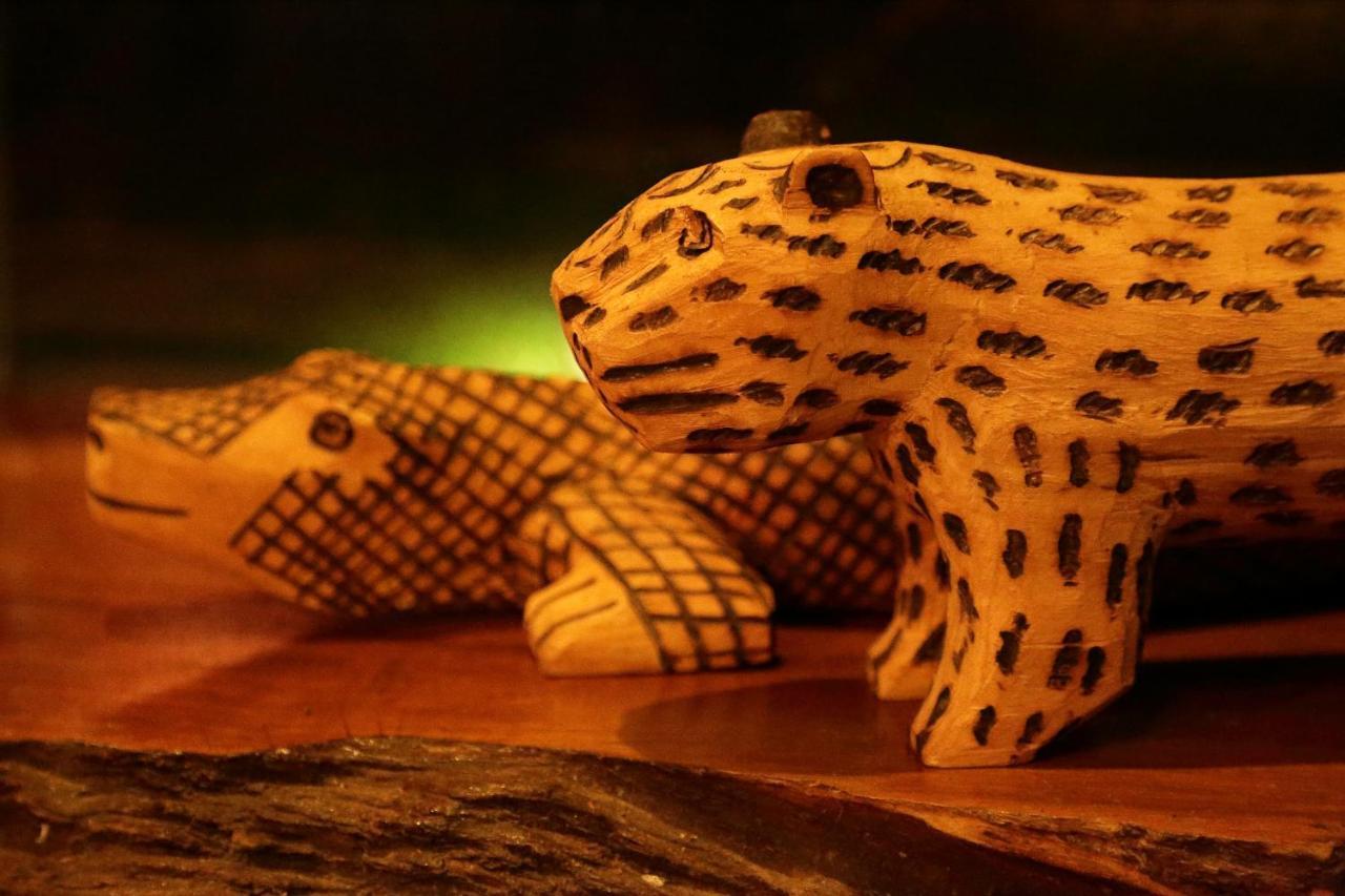 Tierra Guarani Lodge Πουέρτο Ιγκουασού Εξωτερικό φωτογραφία