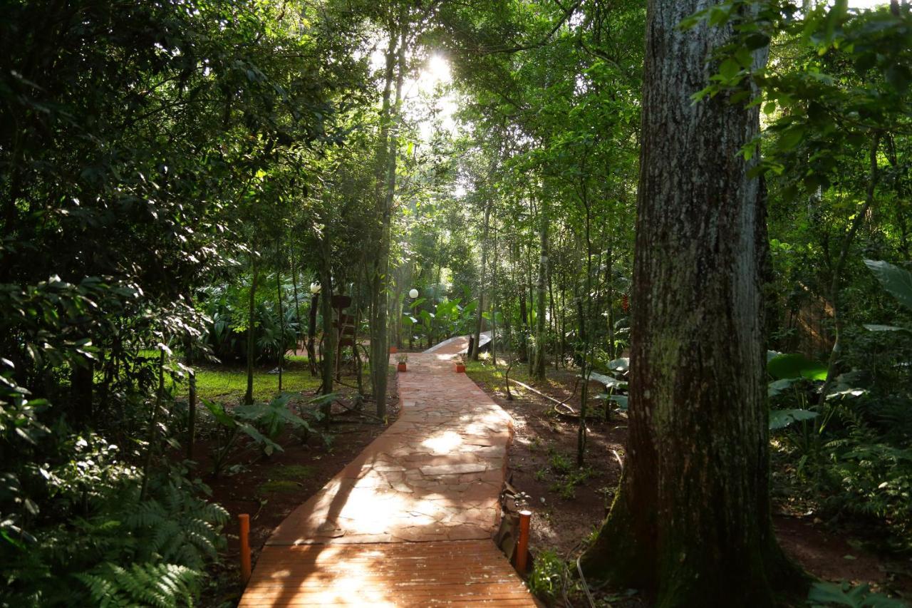 Tierra Guarani Lodge Πουέρτο Ιγκουασού Εξωτερικό φωτογραφία