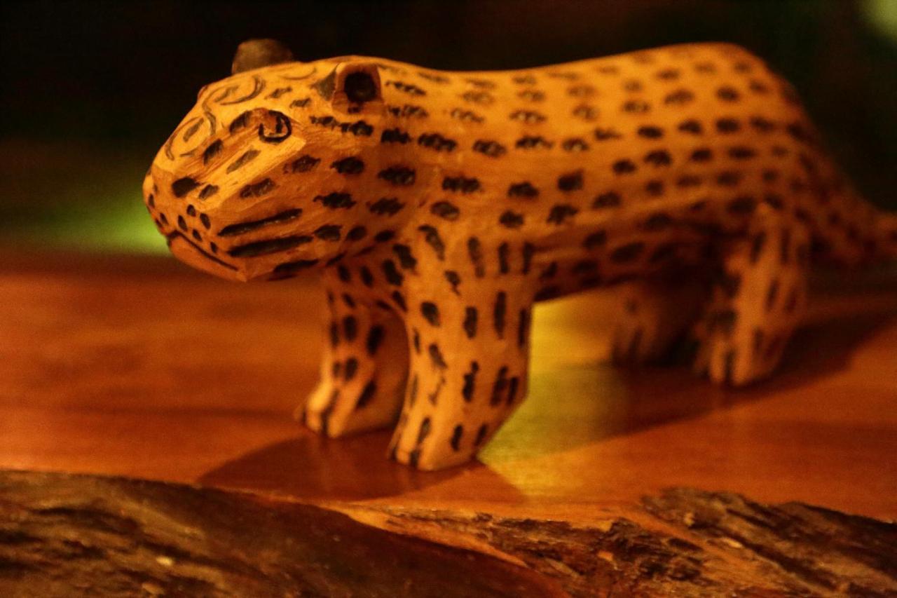 Tierra Guarani Lodge Πουέρτο Ιγκουασού Εξωτερικό φωτογραφία