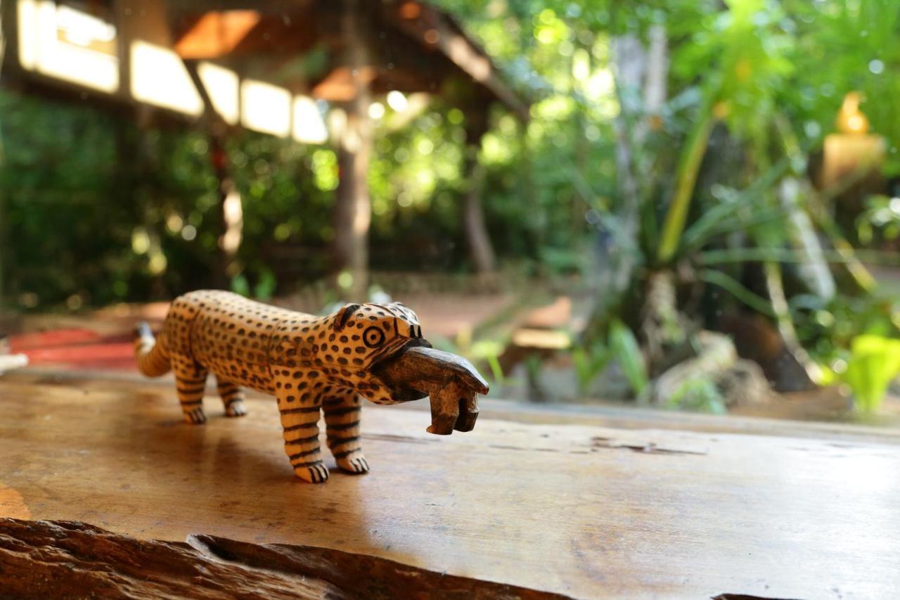 Tierra Guarani Lodge Πουέρτο Ιγκουασού Εξωτερικό φωτογραφία